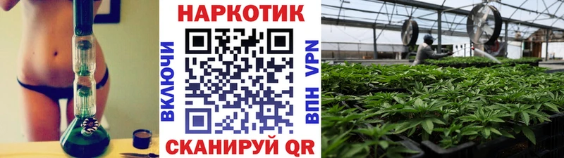Галлюциногенные грибы Куйбышев