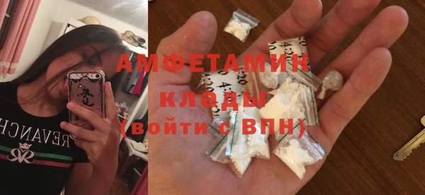 прущие грибы Корсаков
