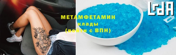 прущие грибы Корсаков