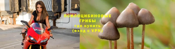 марихуана Кинешма