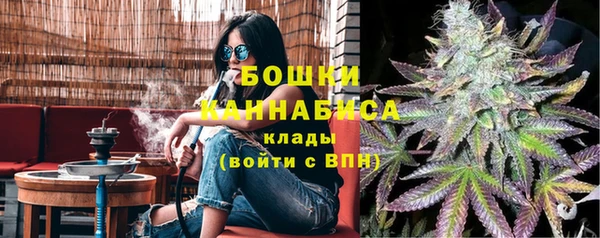 прущие грибы Корсаков