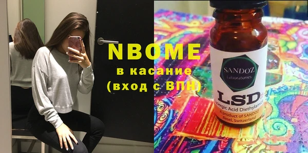 прущие грибы Корсаков