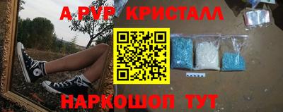 Альфа ПВП Кандалакша