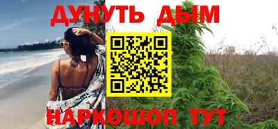 Альфа ПВП Кандалакша
