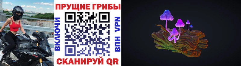 Галлюциногенные грибы Psilocybine cubensis  где купить наркотик  Куйбышев 